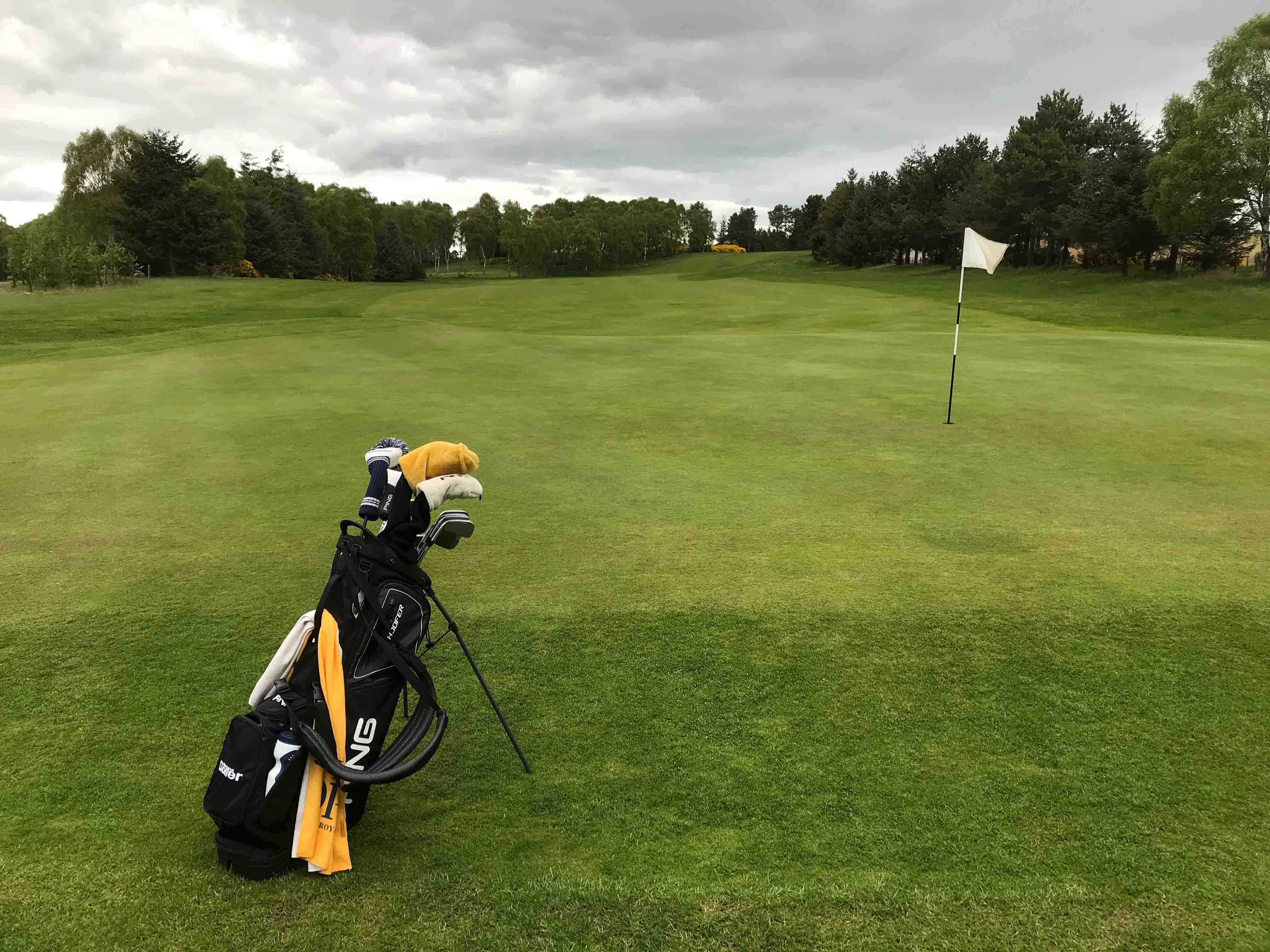 Elgin Golf Club review bag