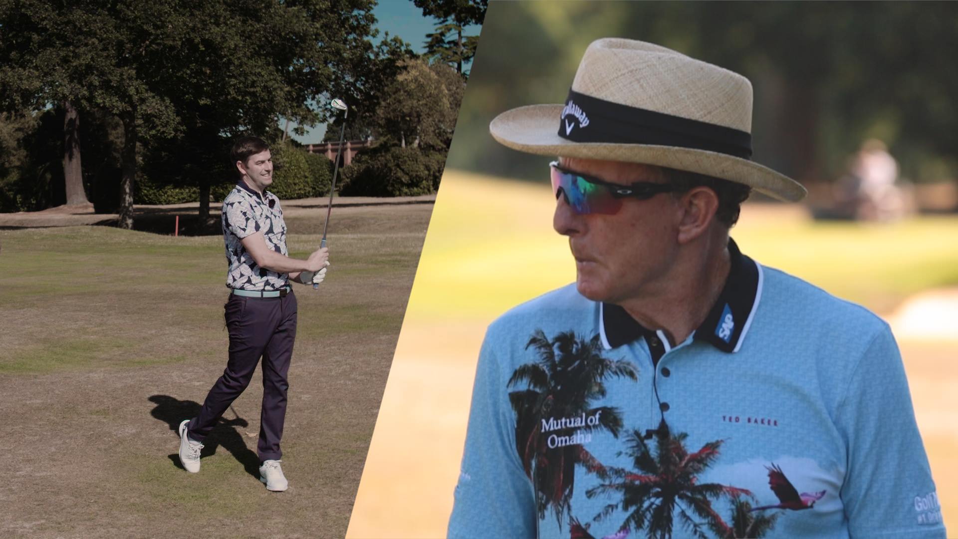 David Leadbetter's Ultimate Coaching Guide: Irons