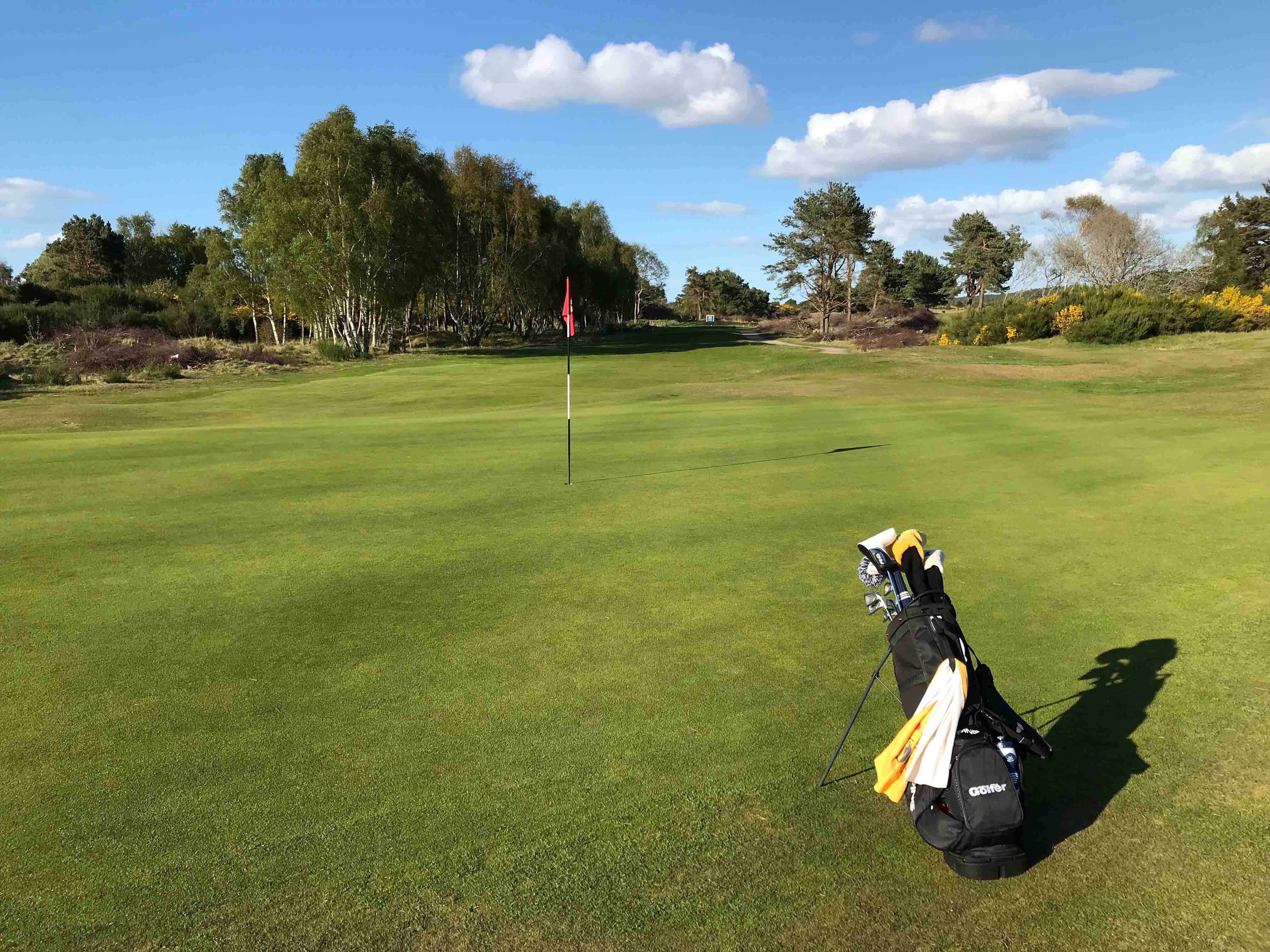 Course rankings features Buckpool