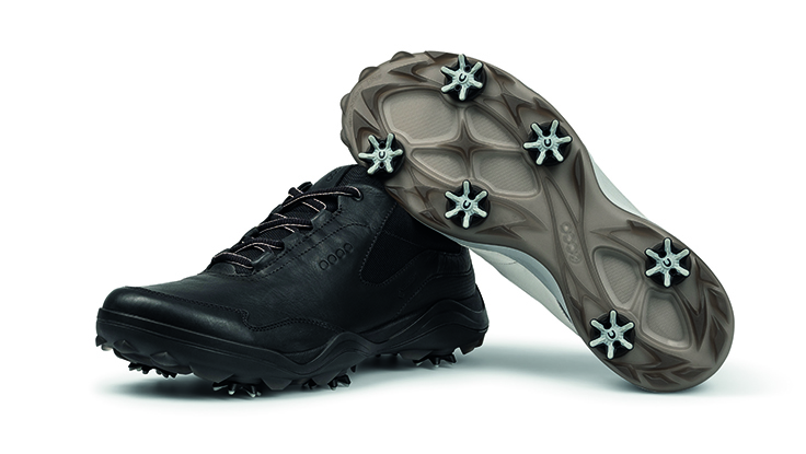 WIN: A pair of Ecco Strike shoes