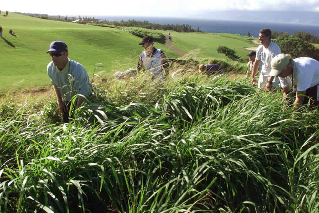Not all of us are happy with the new Rules of Golf