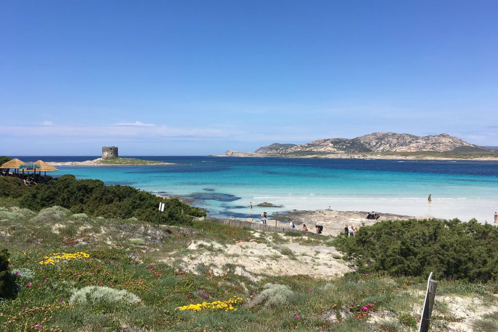 Lunch views in Sardinia