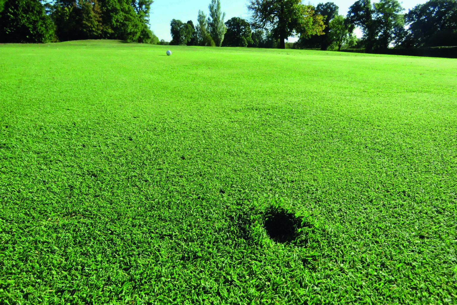 Rules of golf putting green Six putting green rules you must know