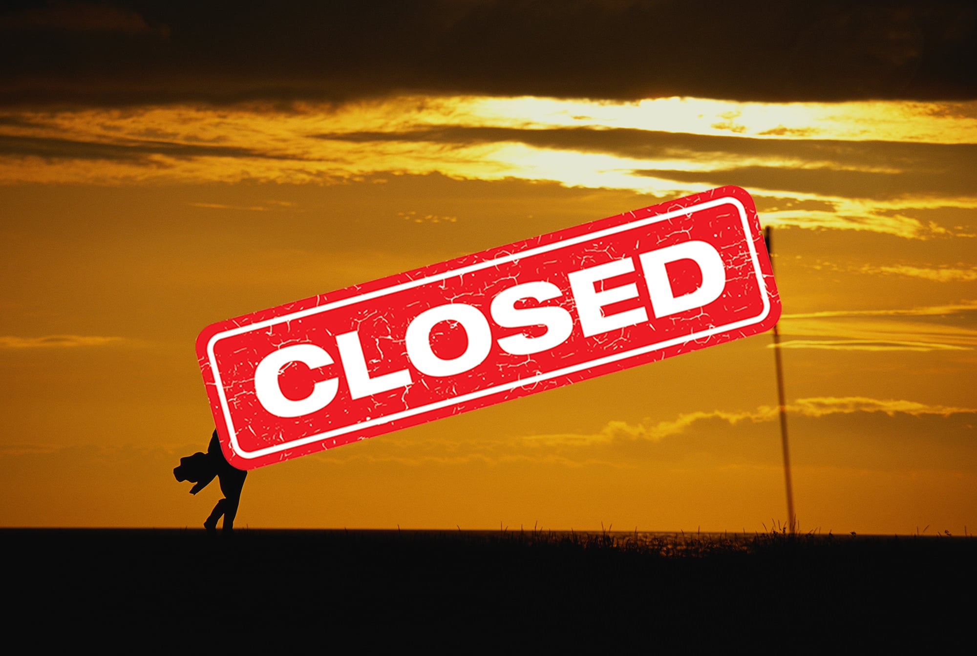 Win: A Bushnell Rangefinder