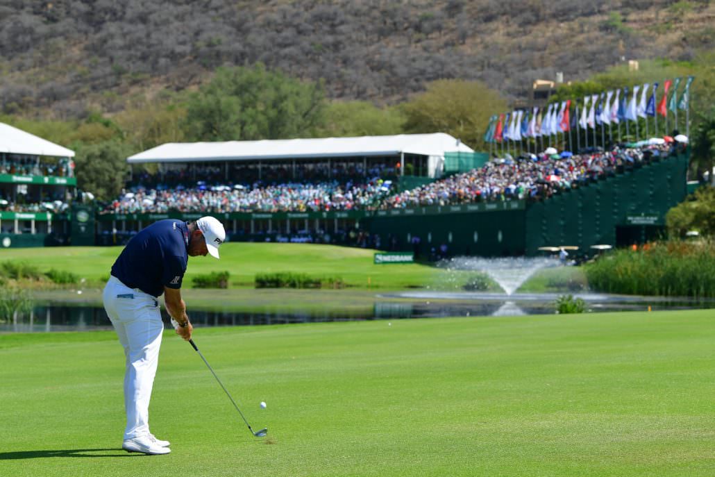 Nedbank Golf Challenge leaderboard National Club Golfer
