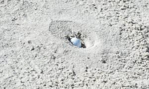 plugged ball in bunker