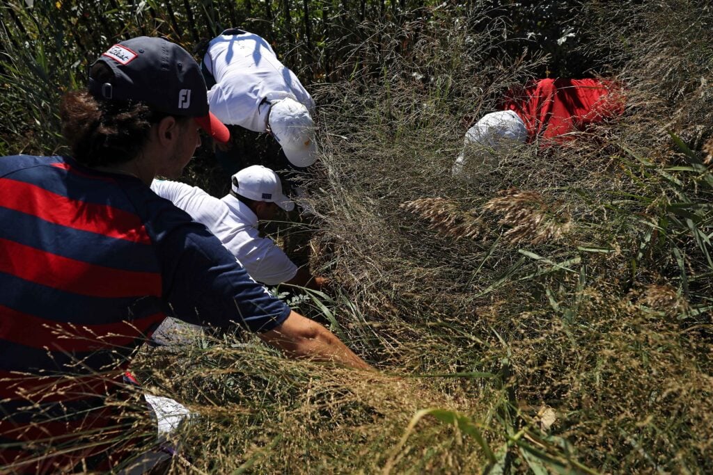 golf ball moves during search