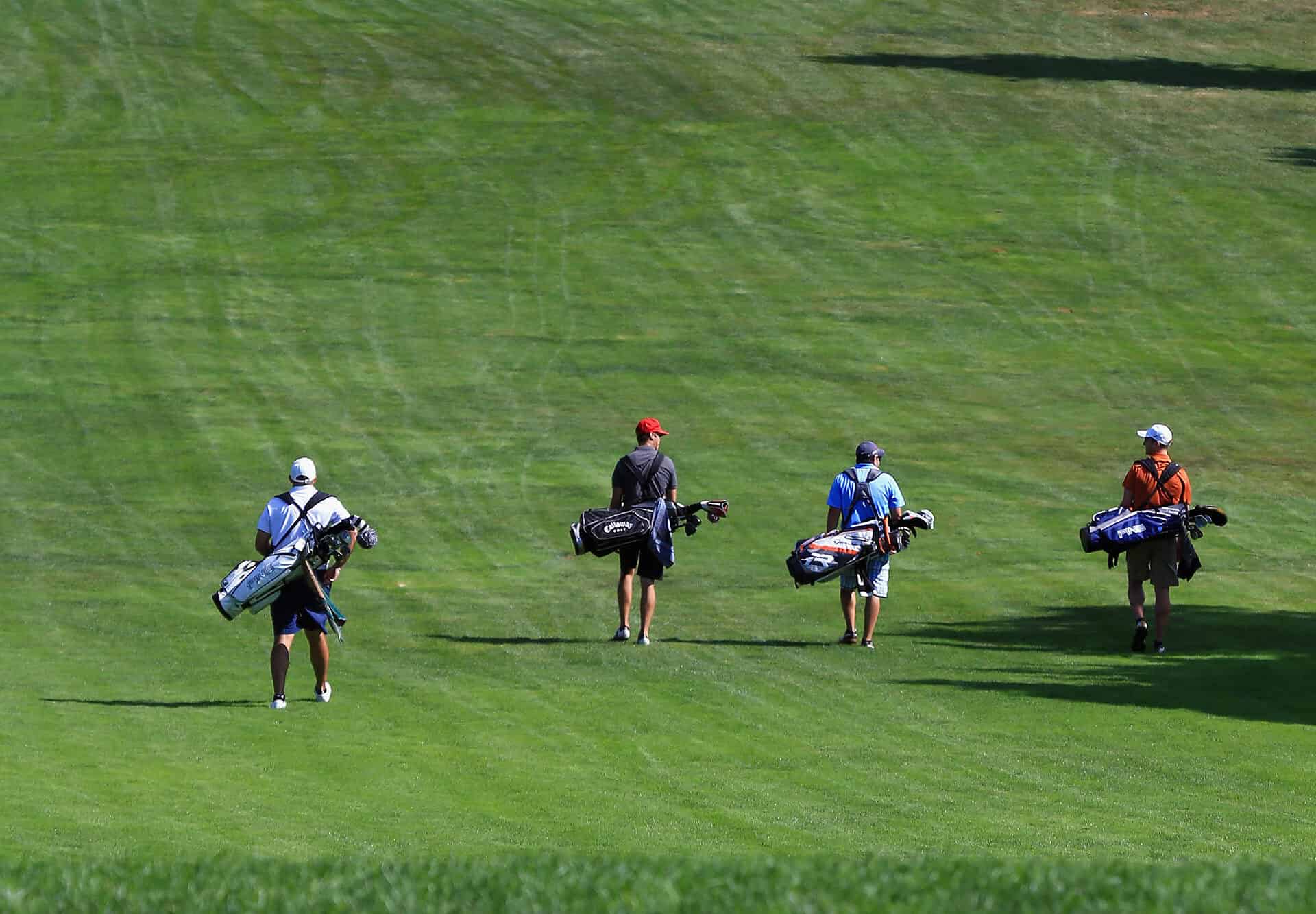 World Handicap System