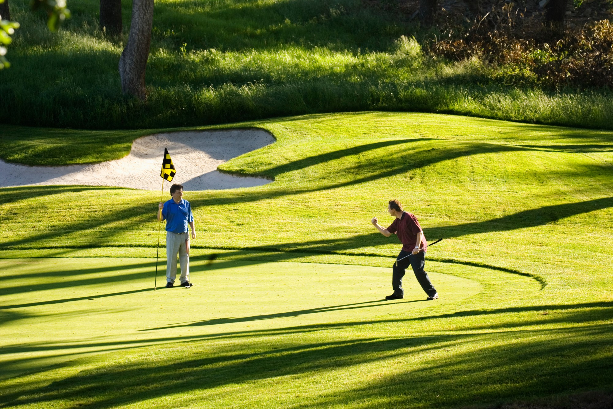 Golfer celebrating shot while partner holds flagstick - stock photo