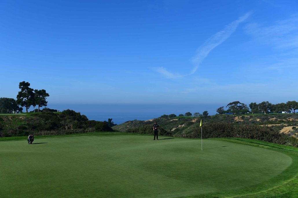 Torrey Pines