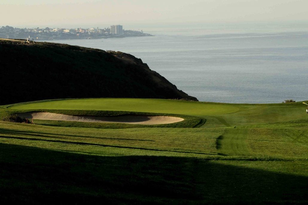 Torrey Pines