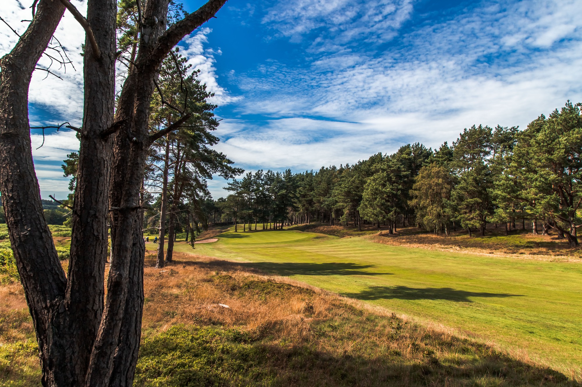 Beau Desert: Golf truly is 'oh so Beau' in the West Midlands