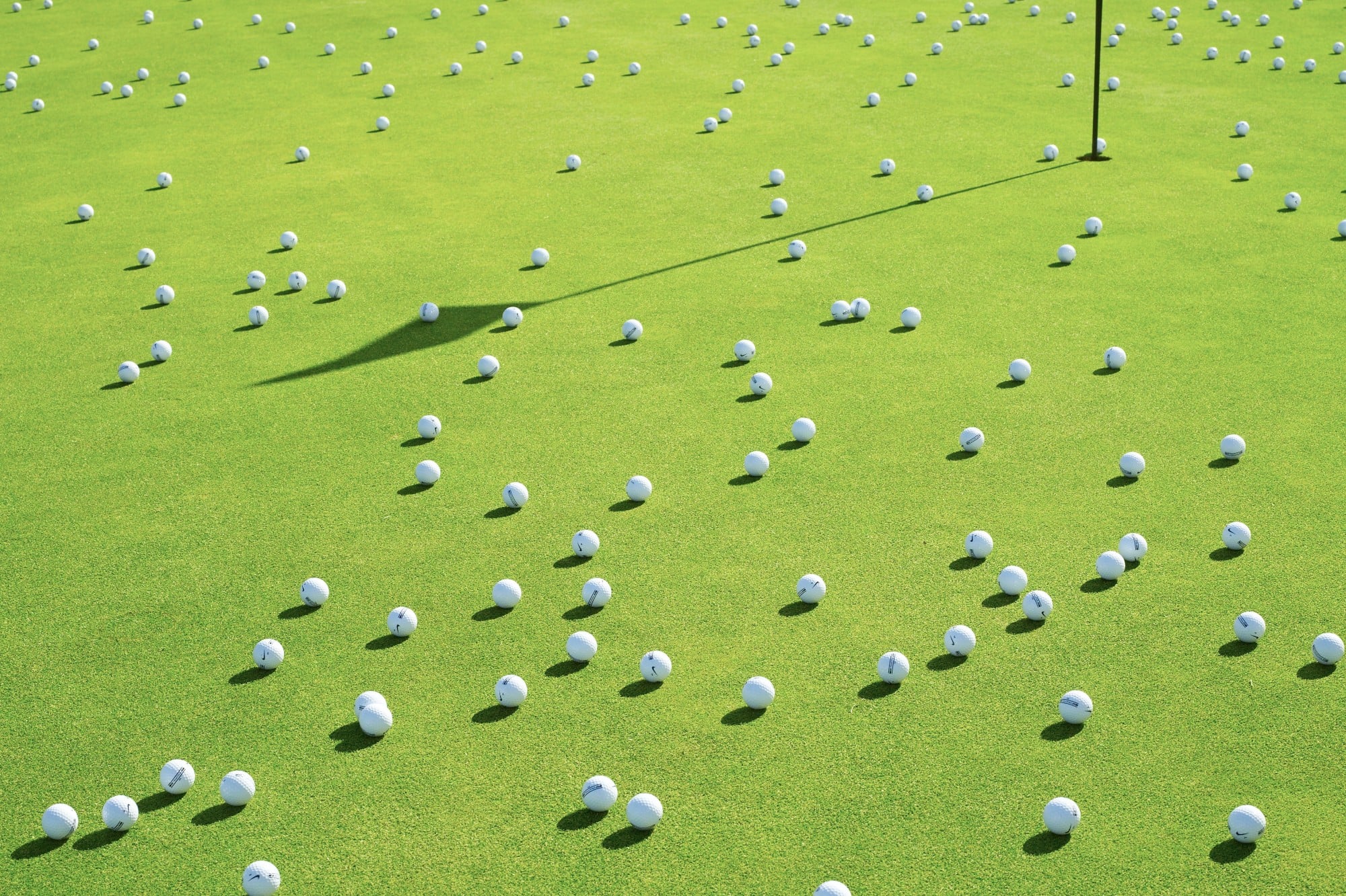 My ball has hit another player's ball what do we do? National Club