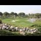 Which Rules of Golf would you change?