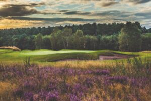Sherwood Forest: Simply one of the best inland courses in the country