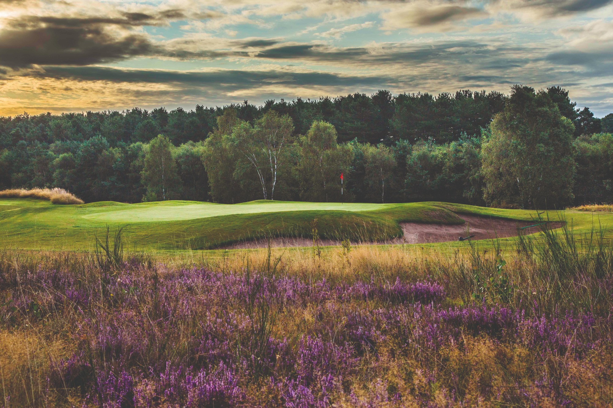 Sherwood Forest: Simply one of the best inland courses in the country