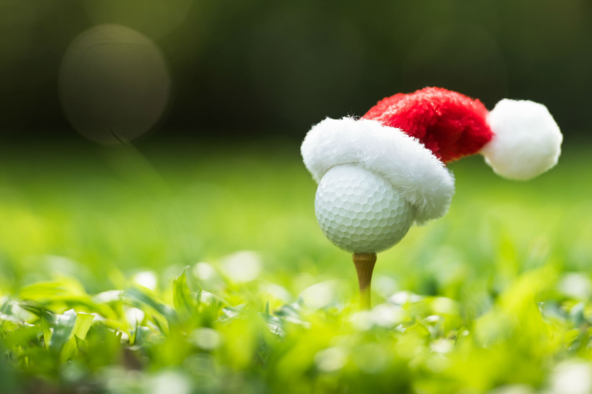 golf christmas gifts under £50