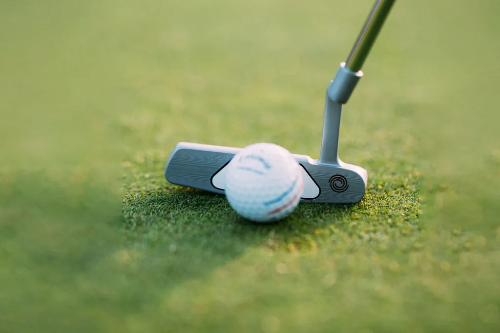 What pro golfers use Odyssey putters?
