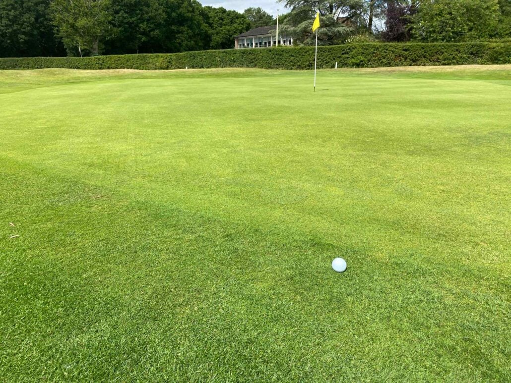 Golf ball on the fringe of the green | Source: NCG