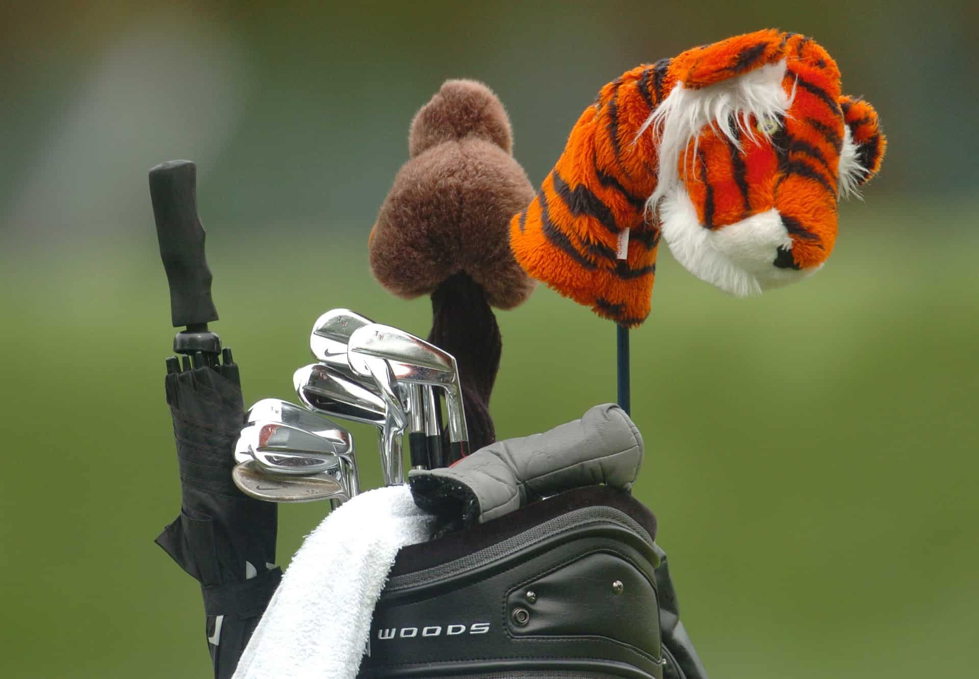 Buying Guides: Best animal golf headcovers