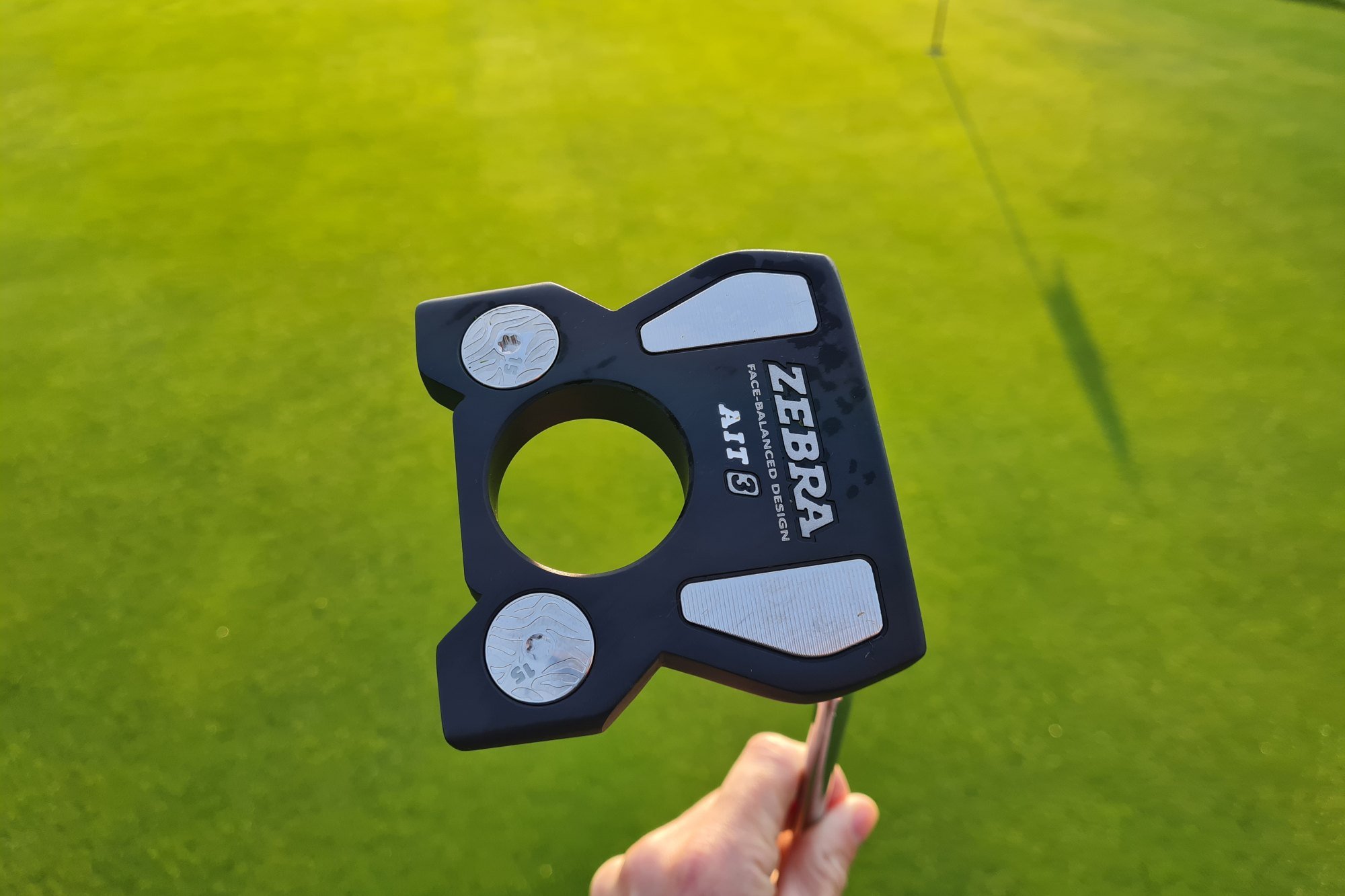 Zebra AIT 3 putter review