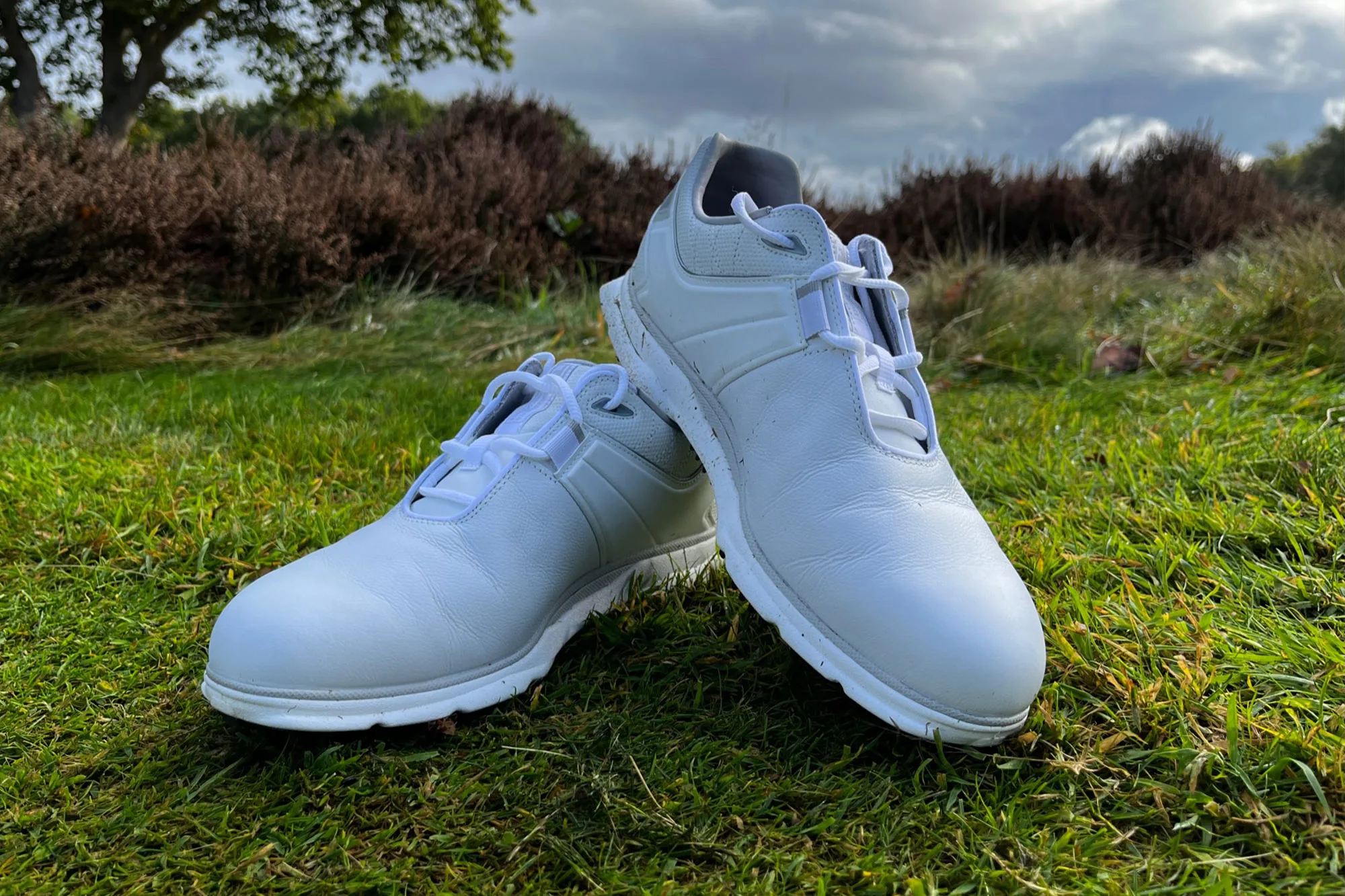 FootJoy Pro SL golf shoes review