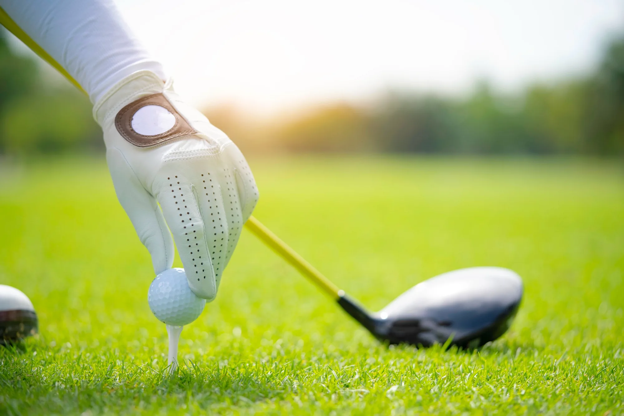 Buying Guides: Best golf gloves