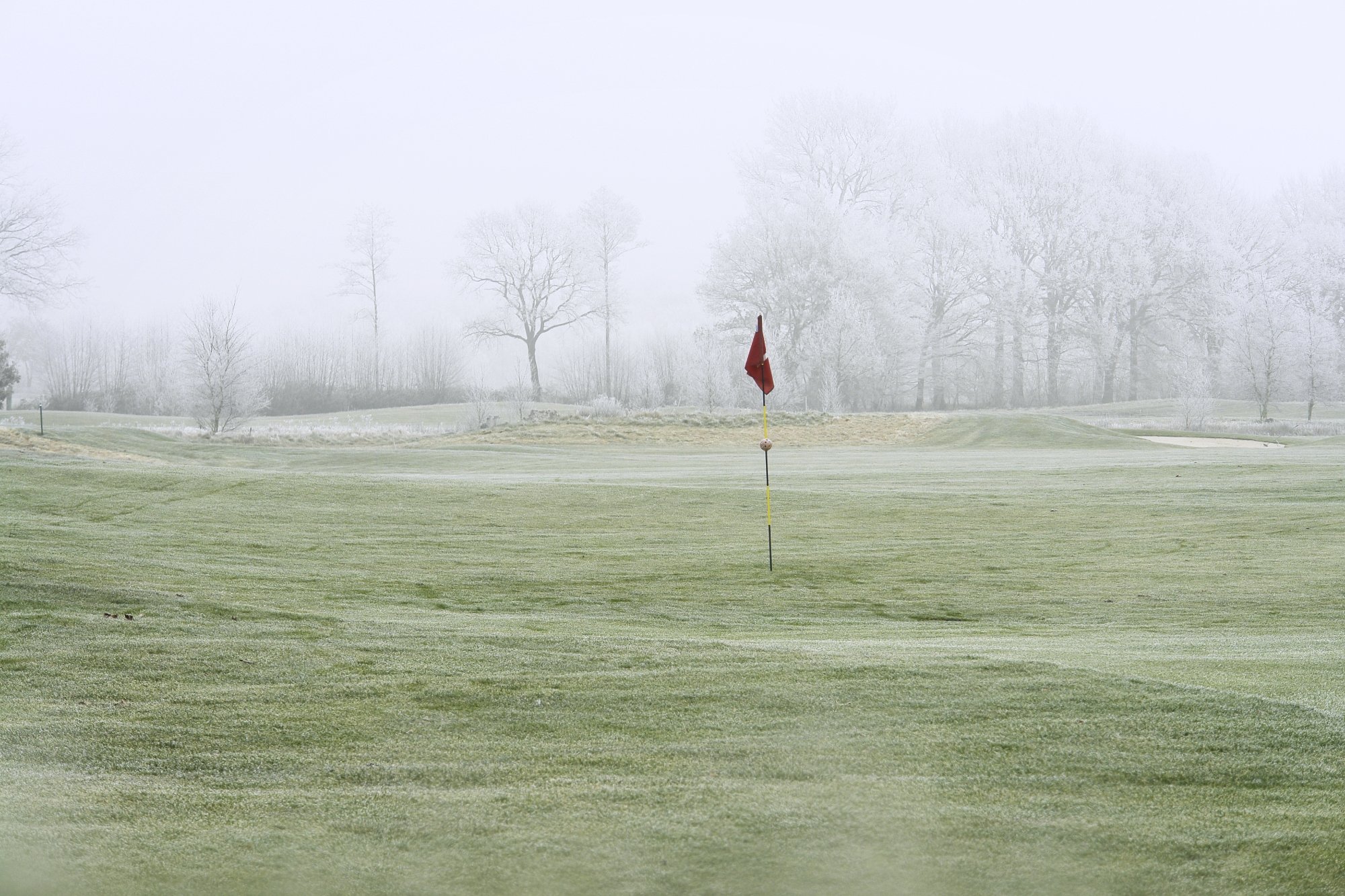 winter rules of golf