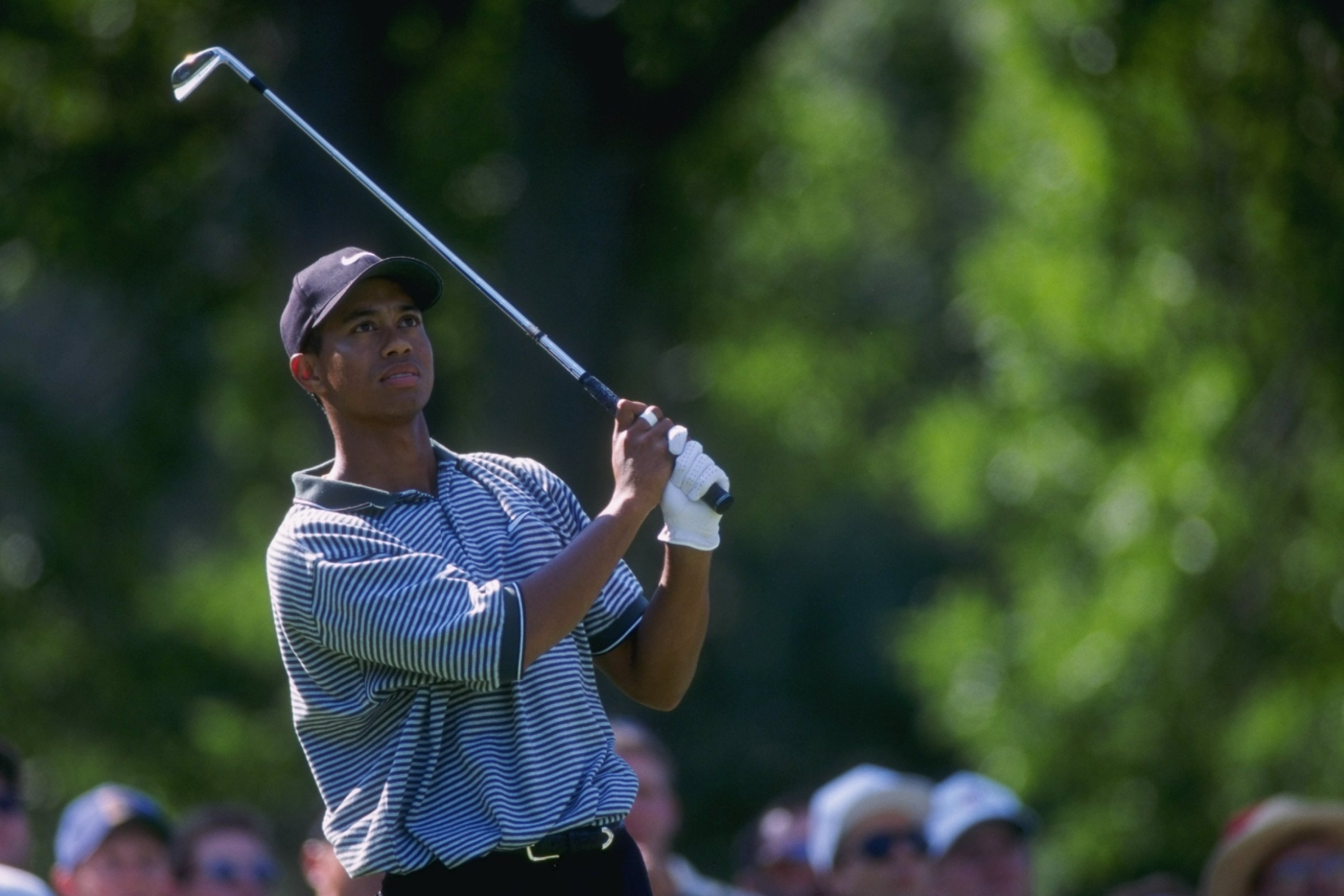 Tiger Woods hole-in-one ball sells for huge money!