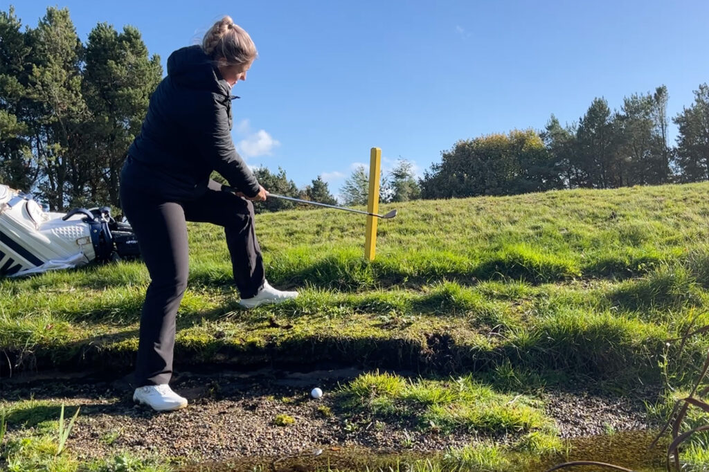 loose impediments in penalty area