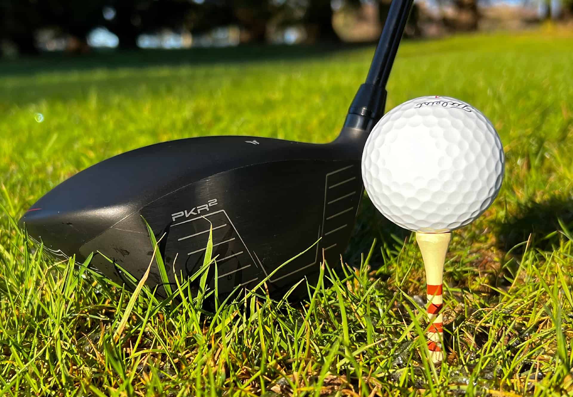 dynapwr driver price