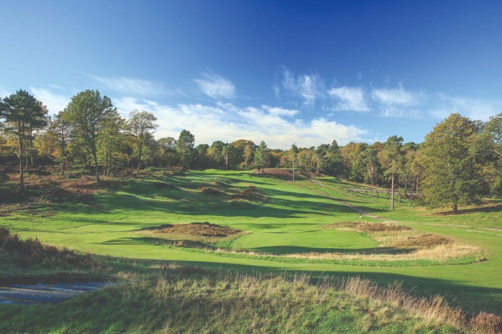 DEBUT PANELLIST HEADLINE IN HERE