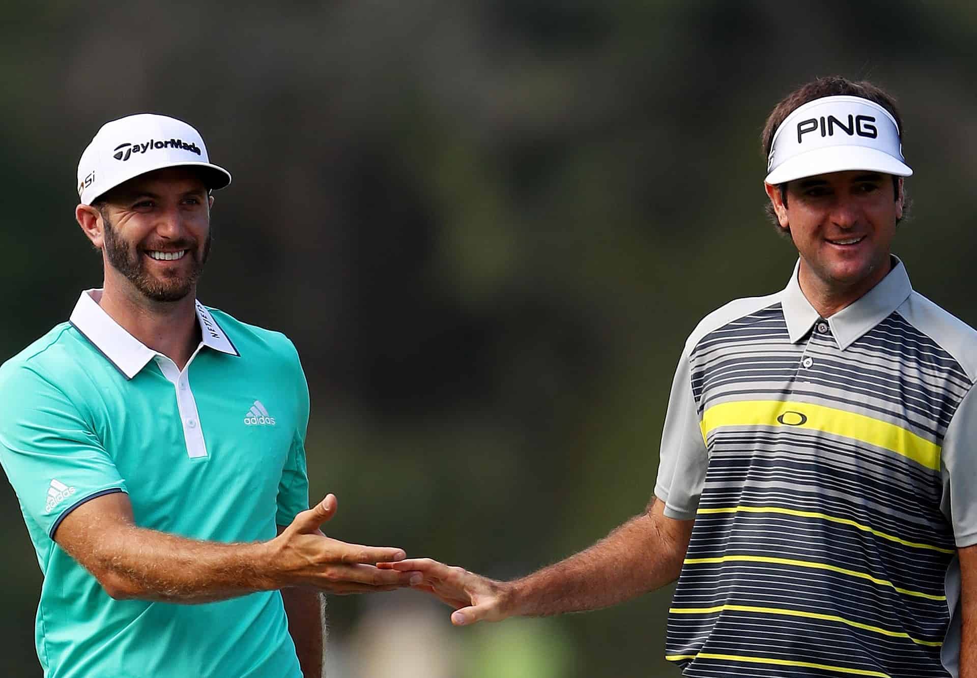 Dustin Johnson and Bubba Watson