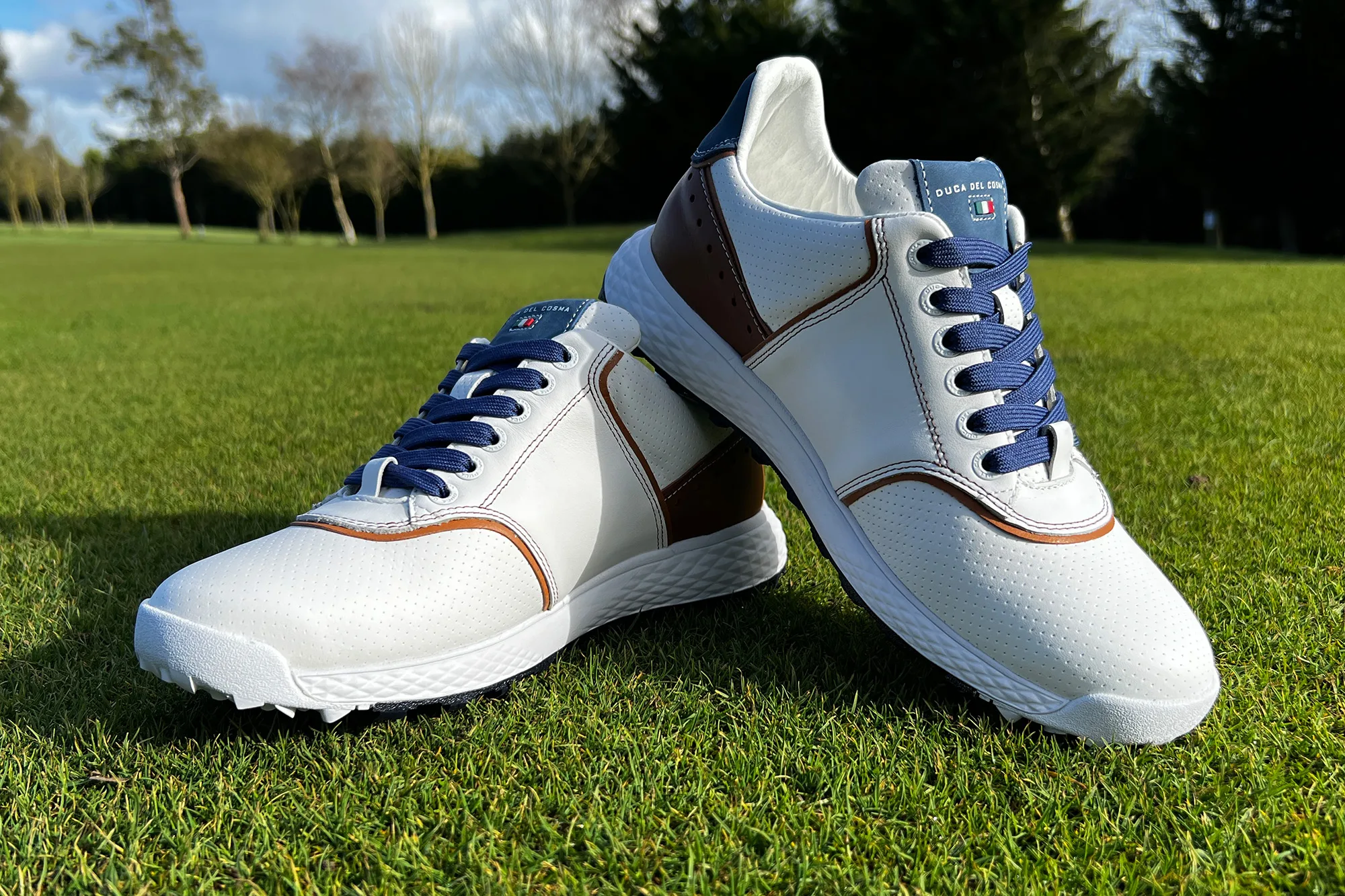 Best Spikeless Golf Shoes 2023