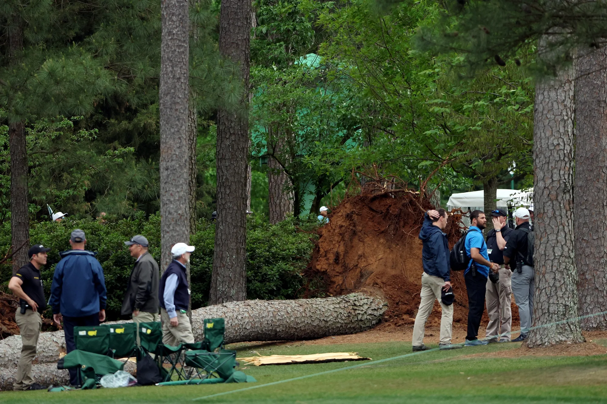 A fallen tree at the Masters