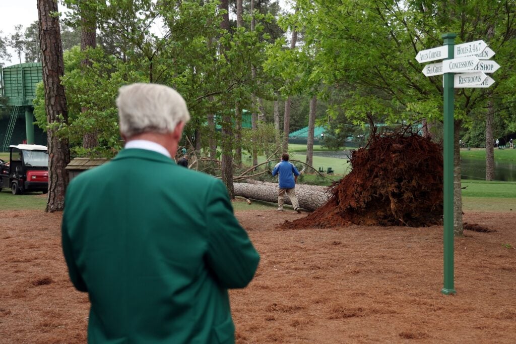 fallen tree on golf course