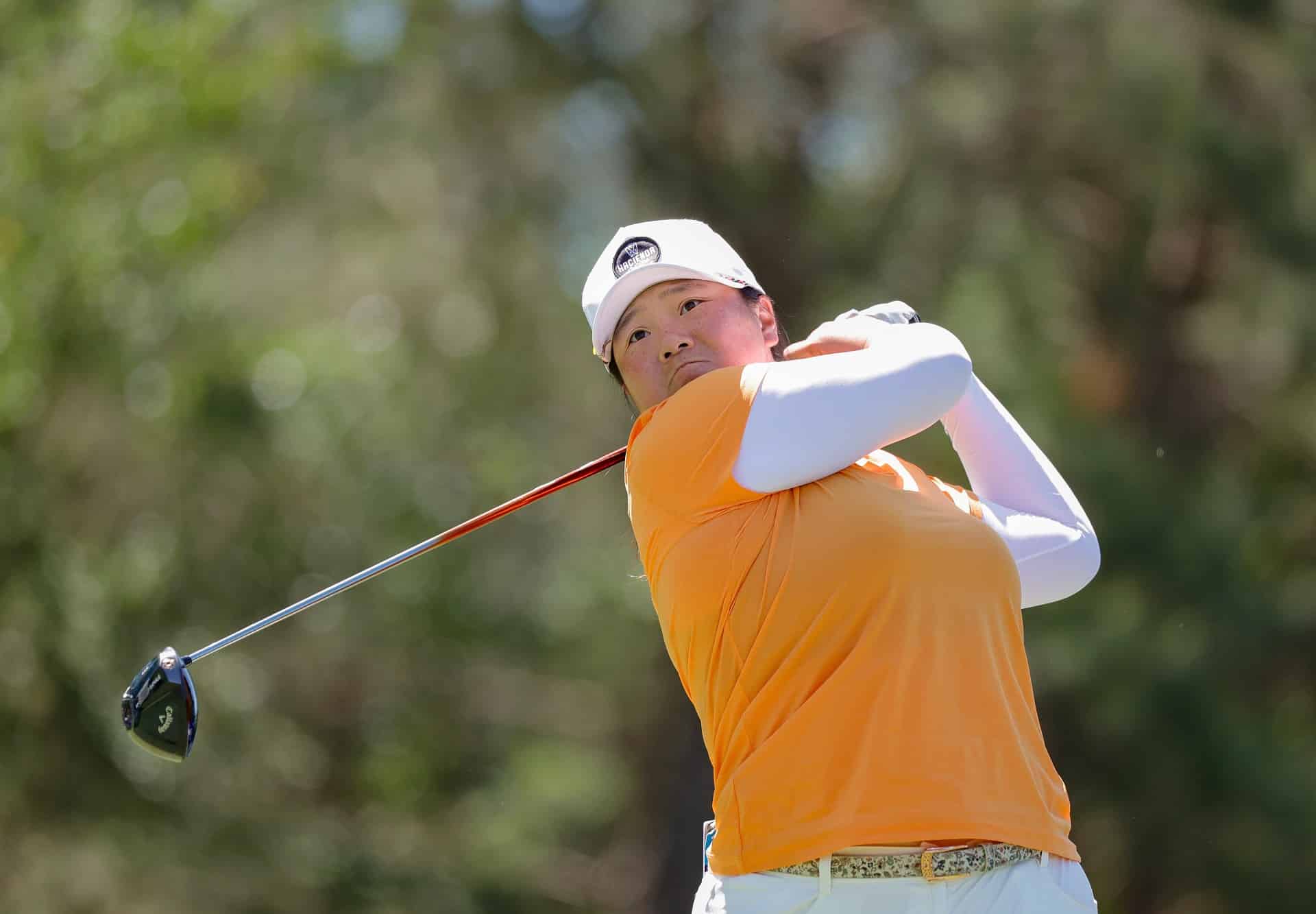 Angel Yin player profile