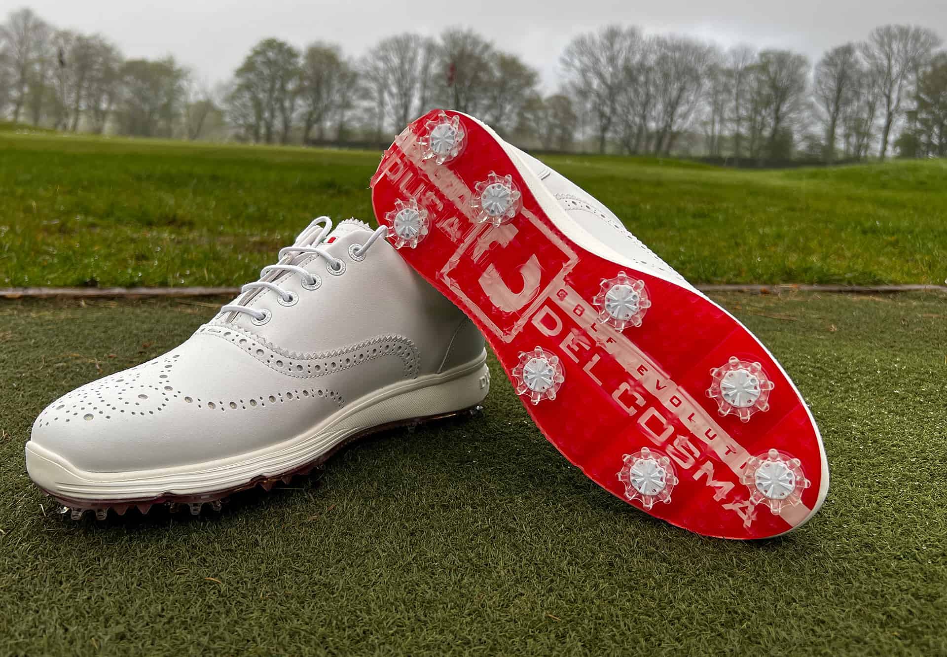 Adidas Tour 360 golf shoes 22 review Everything you need to know