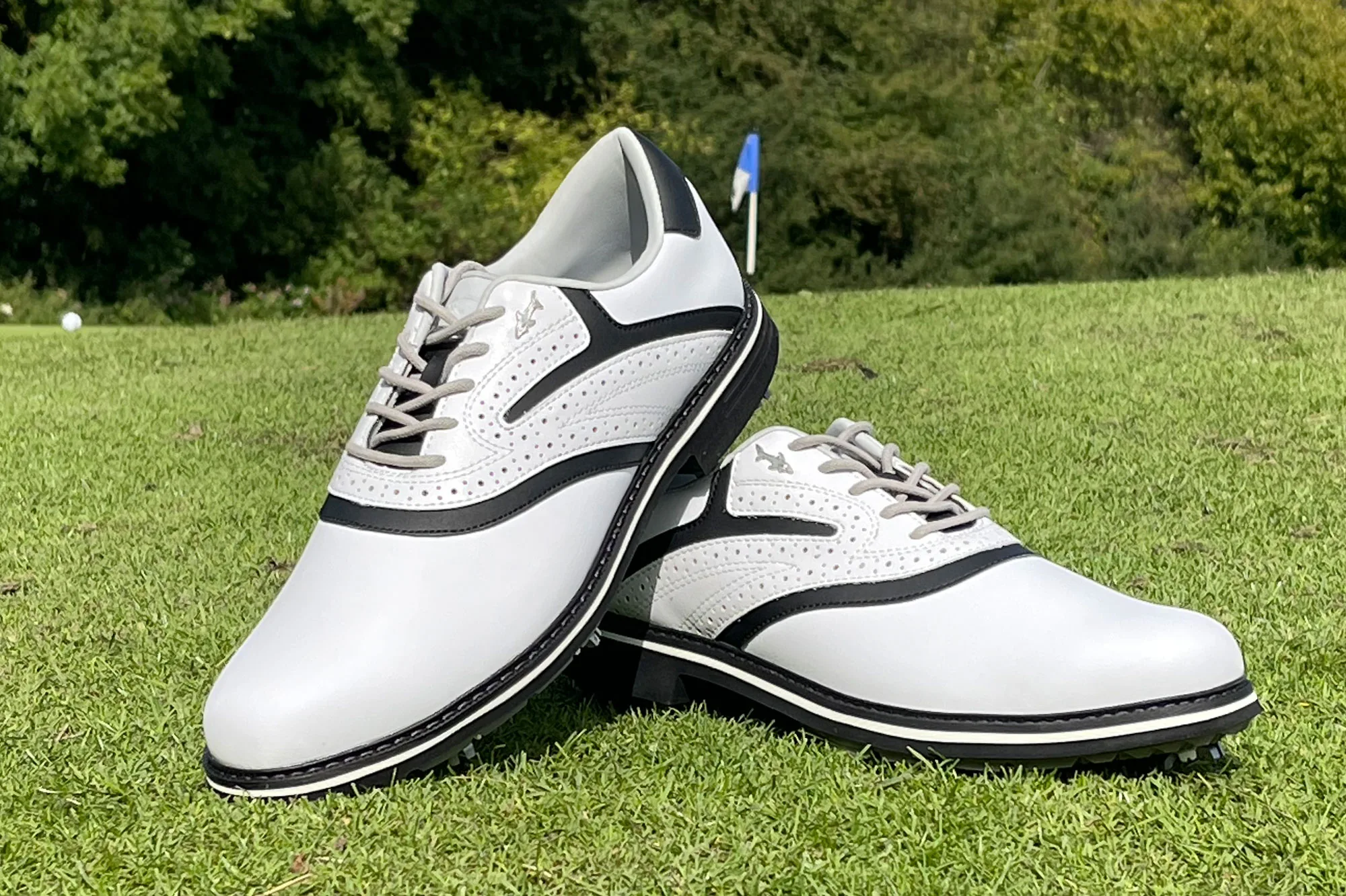 Greg Norman Men’s Isa Tour Waterproof Spiked Golf Shoes review