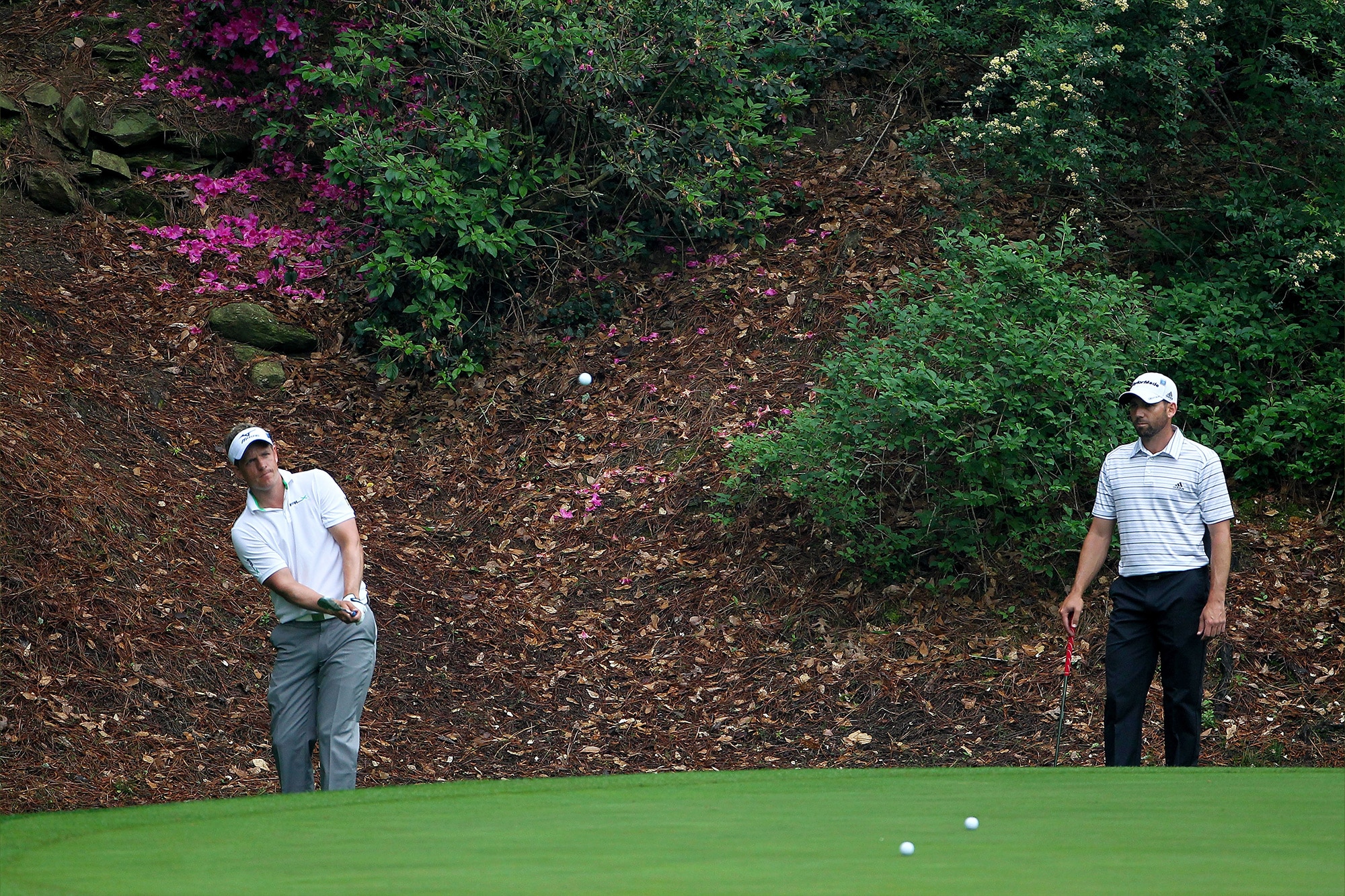 Chip Shot or Pitch Shot? (Made Simple)