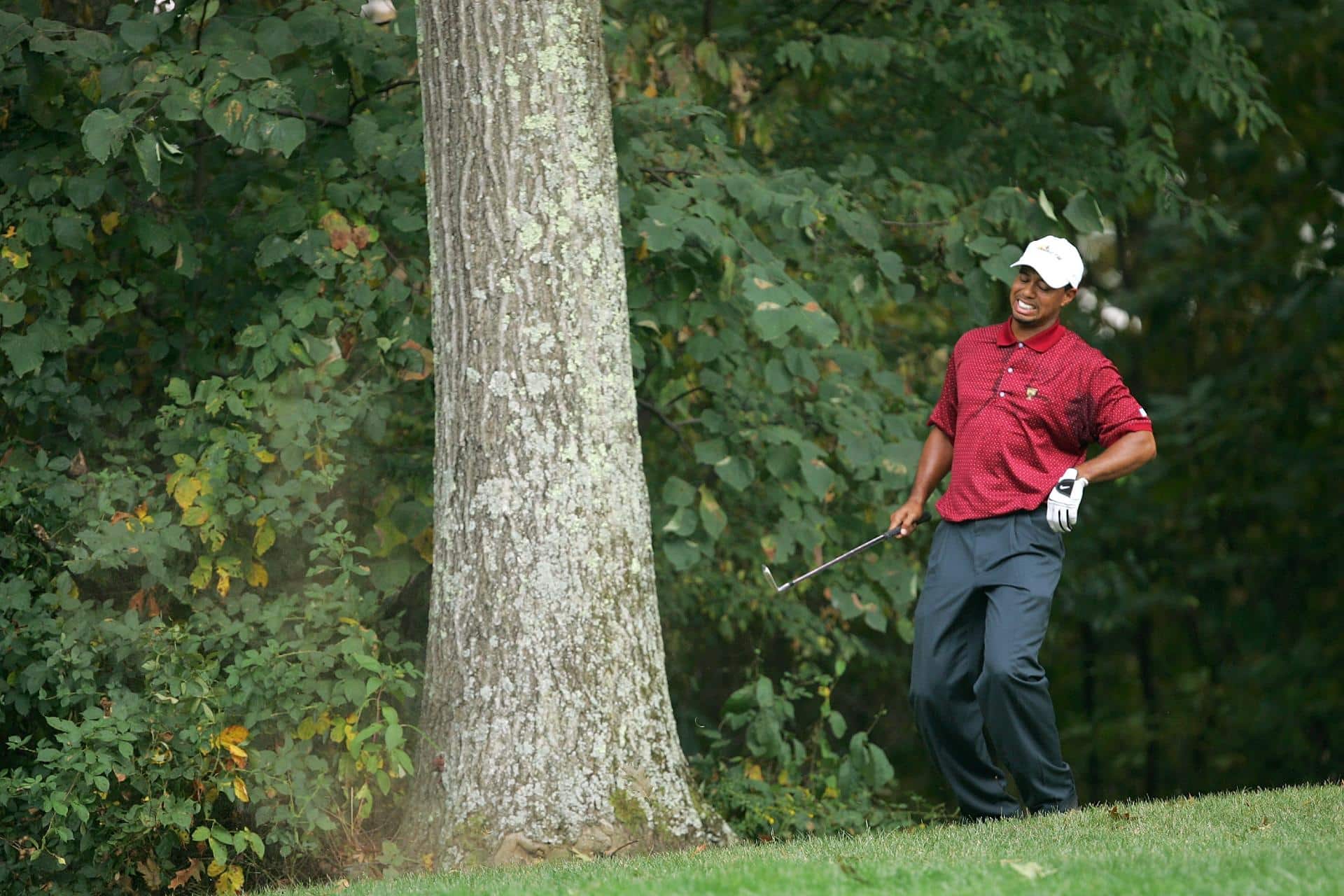 lower back exercises