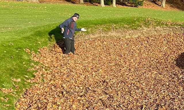 golf ball lost in leaves