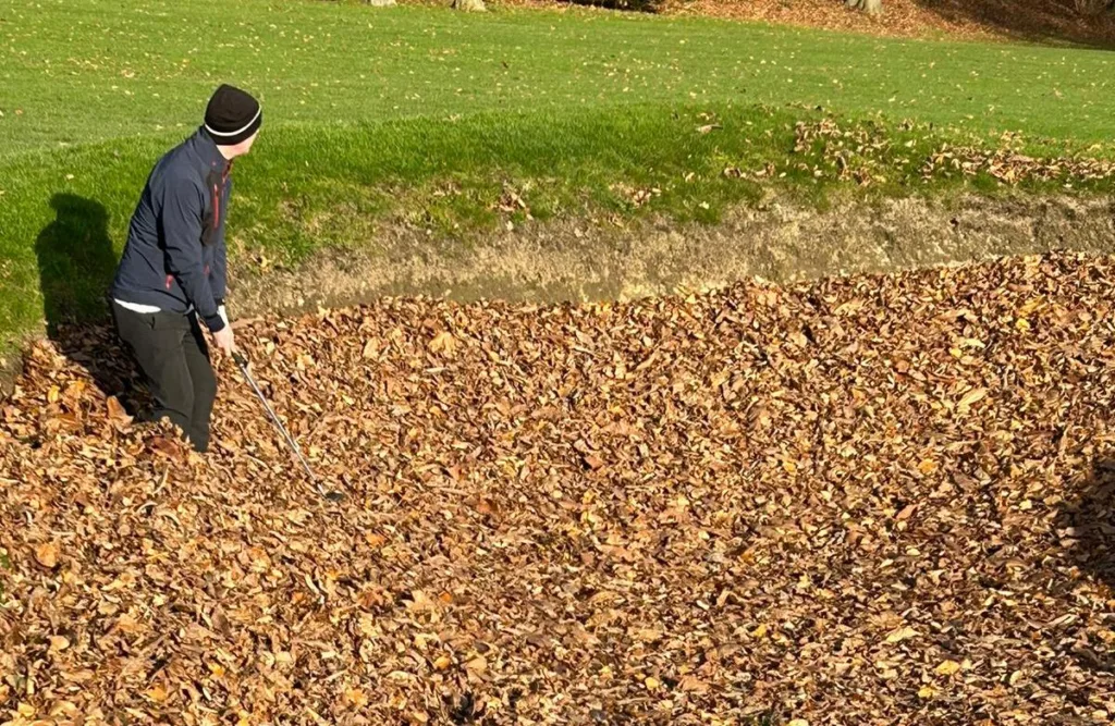 Golf ball lost in leaves What do the Rules of Golf say?