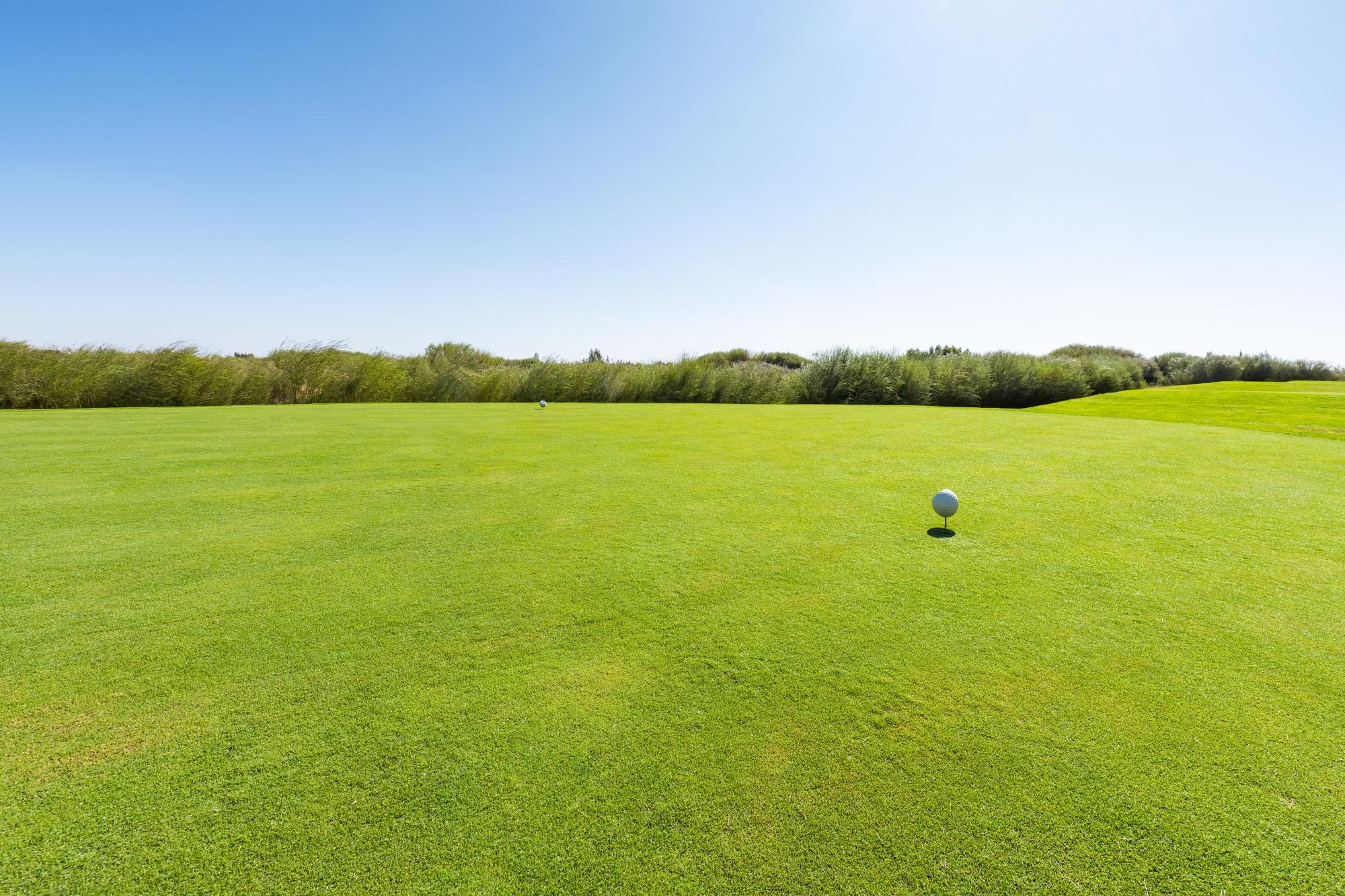 Manchester United consider golf course for new training ground