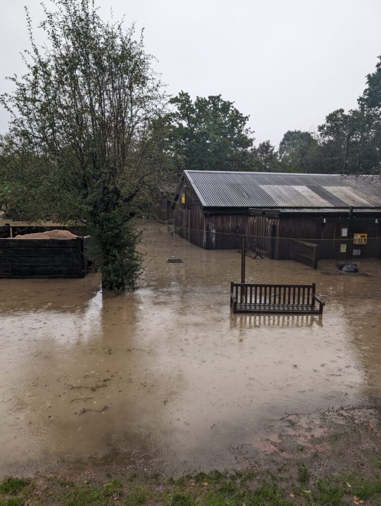 flooded golf courses