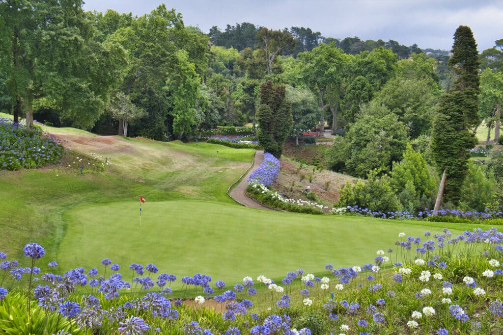 Palheiro Gardens 13th