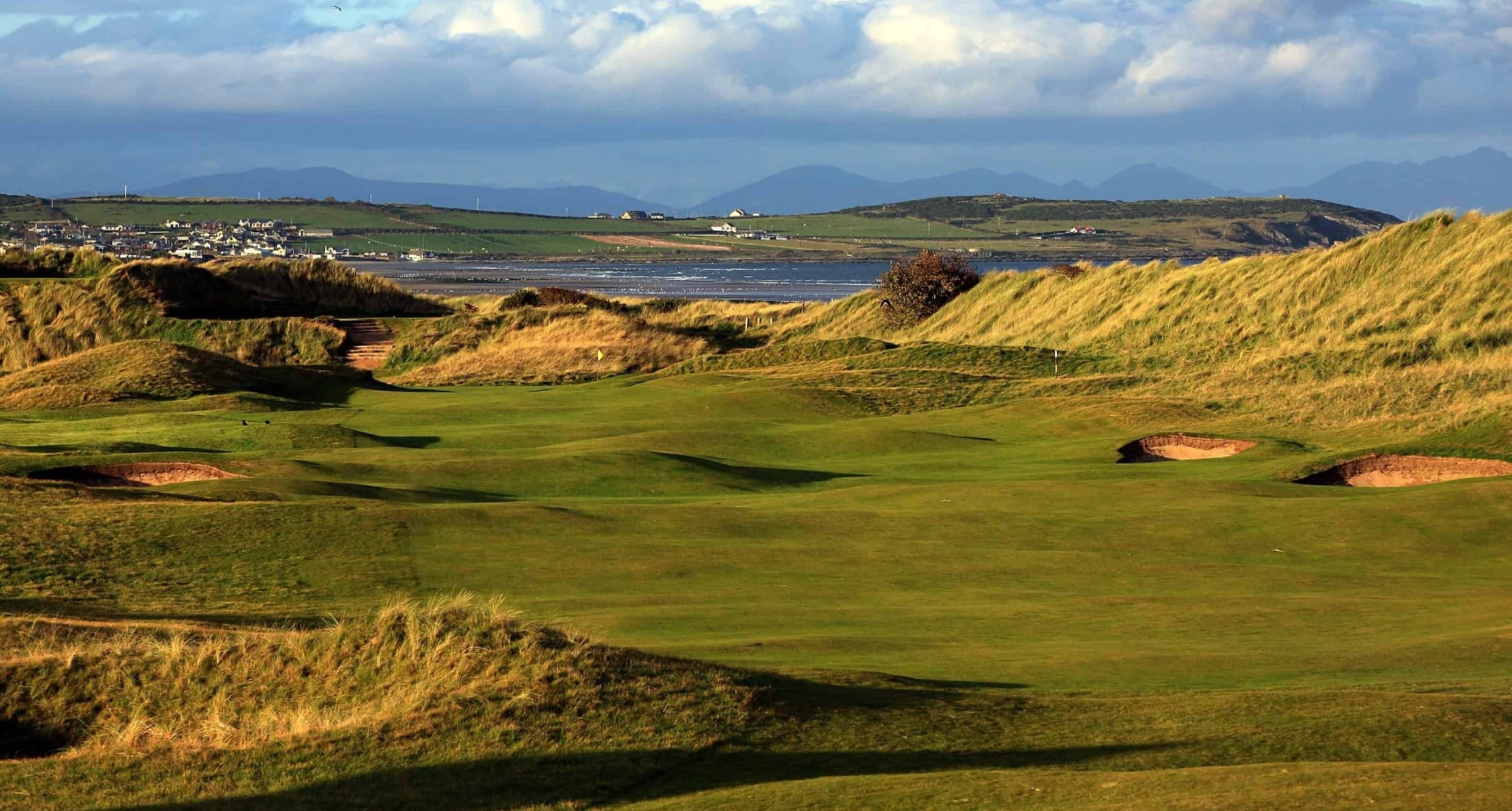 top 100s ireland panel