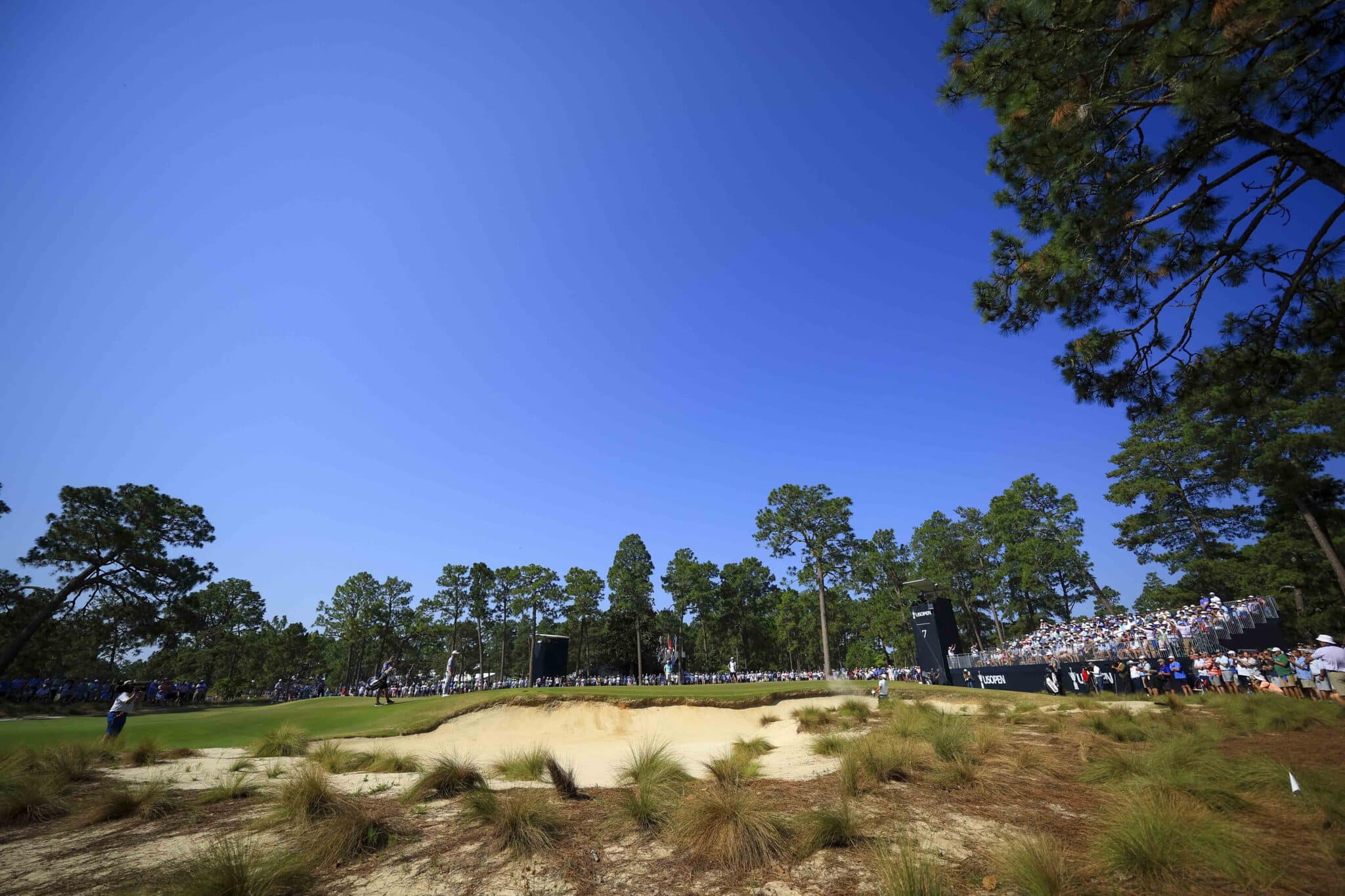 What is the Pinehurst rough that's making the world's best look stupid