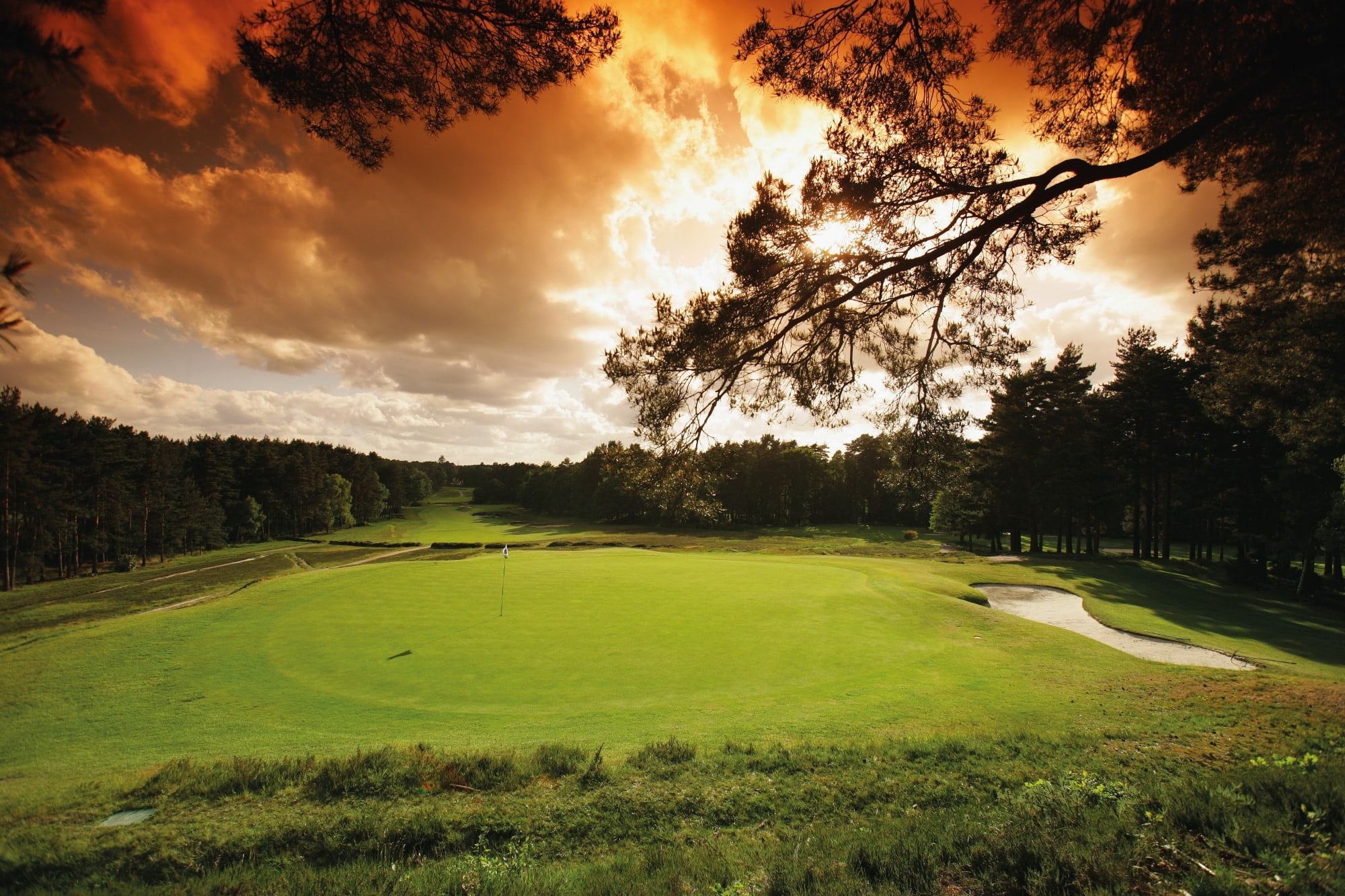 Sunningdale Old