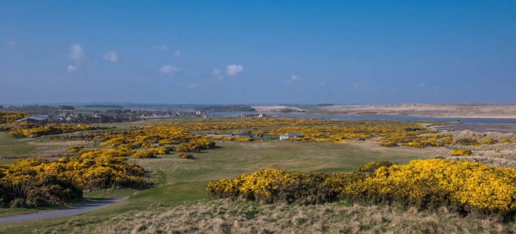 NCG Top 100s Visits Newburgh-on-Ythan